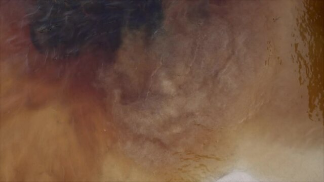 Abstract Cloudy Circular Movement of Water, Earth Colors, Pringle Bay, South Africa 