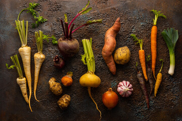 Fresh root vegetables on textured background. Autumn harvest. Concept healthy food. - obrazy, fototapety, plakaty