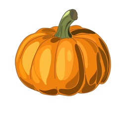 pumpkin isolated on white