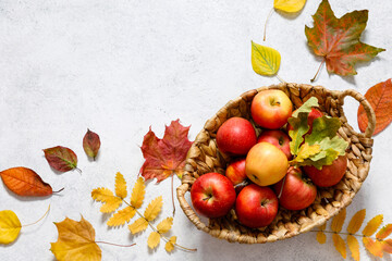 Ripe red apples in wooden basket and autumn dried leaves on bright light background. Autumn flat lay, top view.