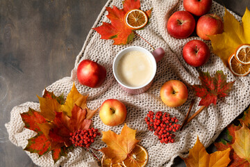 Autumn mood flat lay with cup of coffee, fallen leaves, red berries, apples, warm knitted blanket and cinnamon. Autumn holidays, thanksgiving day, home weekend.