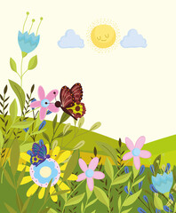 butterfly in the field