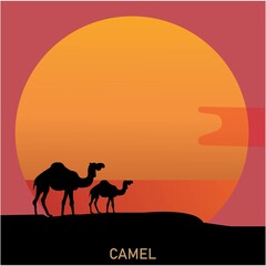 Fototapeta na wymiar Camel icon.