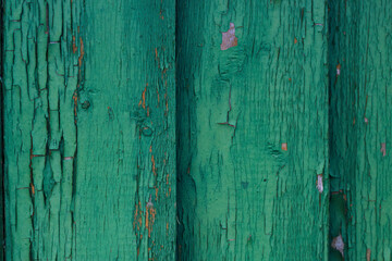 Old green wooden wall. Cracked and scratched background.