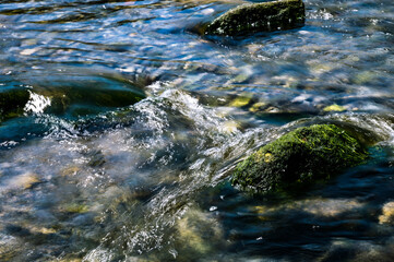 須崎川のせせらぎ