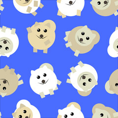 the spitz dog pattern