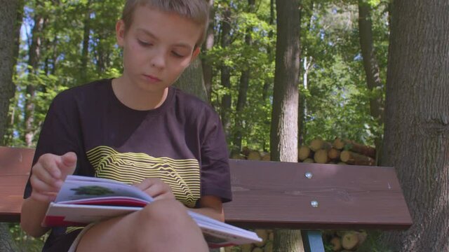 The book is in the hands of a preteen boy, he reads a textbook in a city park. Distance learning off-line is a mode of delivery that does not require online participation. Outdoors, lifestyle.