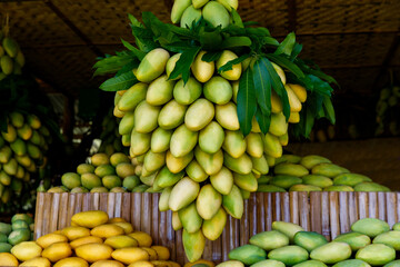 Mango festival. Stand with fresh mango fruits in the street market