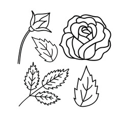 Set of rose icons. Collection of rose flower. Decorative vector elements for tattoo, greeting card, wedding invitation.Vector illustration isolated on white.