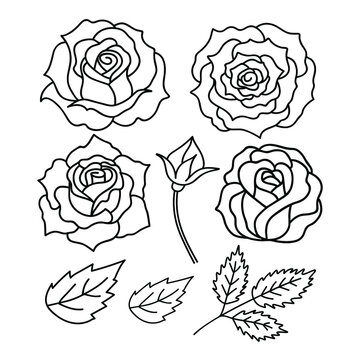 Set of rose icons. Collection of rose flower. Decorative vector elements for tattoo, greeting card, wedding invitation.Vector illustration isolated on white.