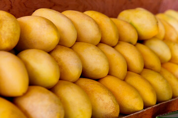 Naklejka na ściany i meble Mango festival. Stand with fresh yellow mango fruits in the street market. selective focus.
