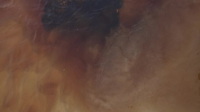 Abstract Cloudy Circular Movement of Water, Earth Colors, Pringle Bay, South Africa