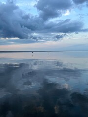 shorebirds flying over glass like bay water with late evening skies
