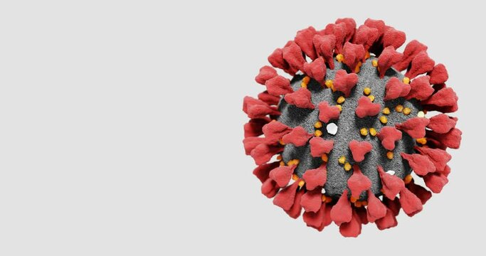 Coronavirus (COVID-19) medical Seamless Loop animation 3D UHD 4K, Realistic Rotating Virus Model