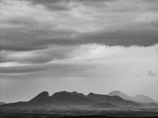 Monsoon in the Desert