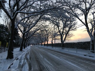 Fototapeta na wymiar Japan winter