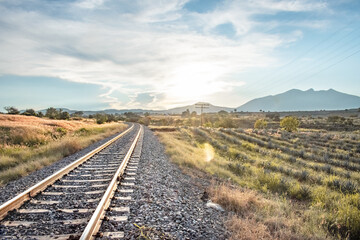 Junto a a las v&iacute;as
