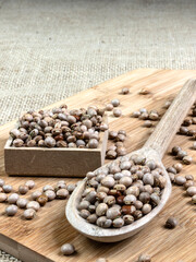 pigeon pea or tuvar beans or guandu bean (Cajanus cajan) seeds in ceramic bowl on the wooden table in Brazil