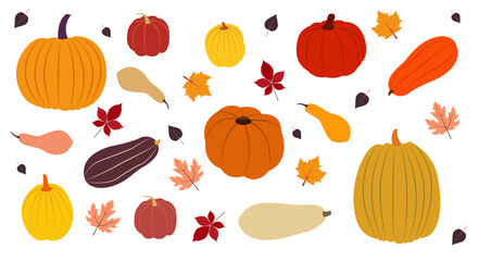 Pumpkin icon set. Vector illustration in flat design Harvest of various colorful pumpkins and autumn leaves isolated on white background