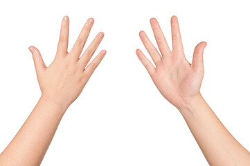 Woman hands showing( front and back)  isolated on white background 