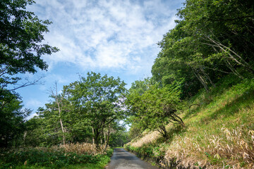 栃木県日光市の男体山に登山している風景 A view of climbing Mt.Nantaisan in Nikko City, Tochigi Prefecture.