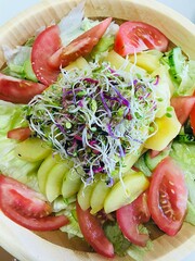 fresh salad with tomatoes