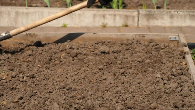 Loosen dry soil with a rake