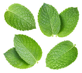 Mint leaf isolate on white. Mint isolated with clipping path. Professional studio macro shooting. Collection mint Clipping Path © Maks Narodenko