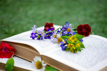 thick books lie with colored flowers in a clearing