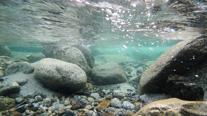 透明感の山の渓流の水中写真