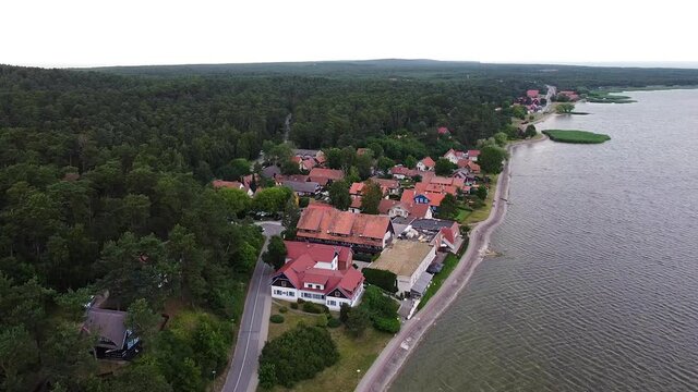 Coastal town Nida surrounded by dense conifer forest, aerial descend view