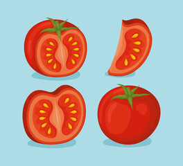 four tomato designs