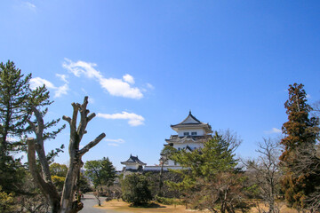 伊賀上野城