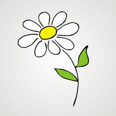 Daisy, one flower on gray background, sketch, vector