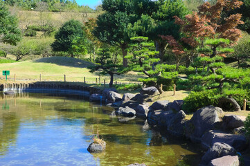 Fototapeta na wymiar 初秋の日本庭園
