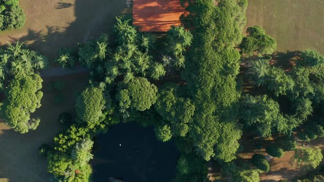 Revealing Shot Of Red Tennis Court Surrounded With Dense Foliage On A Sunny Morning In Brijuni, Croatia. aerial