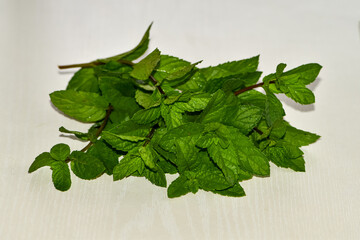 Spearmint, Garden mint, Spear mint, Bush mint, Menthol Mint on the surface of the table