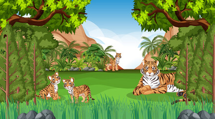 Obraz na płótnie Canvas Tiger family in forest or rainforest scene with many trees