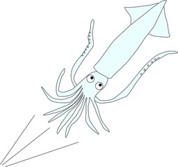 可愛いイカの出発