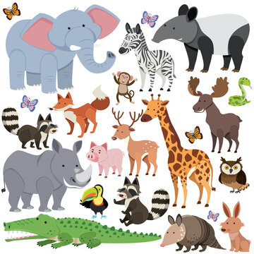Seamless pattern with cute wild animals on white background