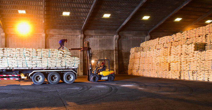 Warehouse intake,  forklift lift-off sugar bags from truck to stack inside a warehouse. Sugar, grain, food, rice, maize, cargo in bags handling concept.