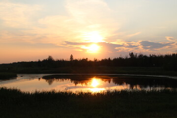 Naklejka na ściany i meble Warm Sunset Glow, Pylypow Wetlands, Edmonton, Alberta