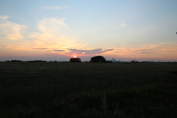 Pastel Sunset Over The Field. Pylypow Wetlands, Edmonton, Alberta