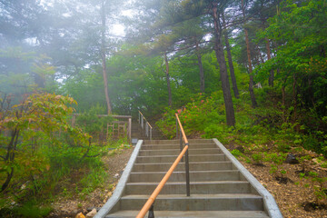 Obraz premium 群馬県吾妻郡草津町の草津温泉に旅行している風景 A scene from a trip to Kusatsu Onsen in Kusatsu-machi, Agatsuma-gun, Gunma Prefecture. 