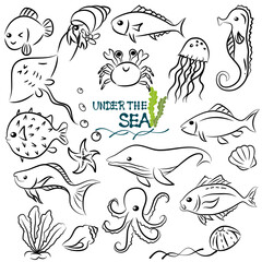 doodle style hand drawn, Fish and wild marine animals in ocean. Sea world dwellers, cute underwater creatures, coral reef inhabitants in their natural habitat, undersea fauna of tropics. Flat cartoon 