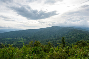 Nature view landscape mountain forest tree countryside of Thailand