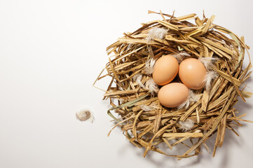 Three eggs in the nest of hays
