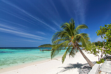 Beautiful Thailand travel island Koh Lipe white sand beach with palm tree and sunny blue sky landscape background