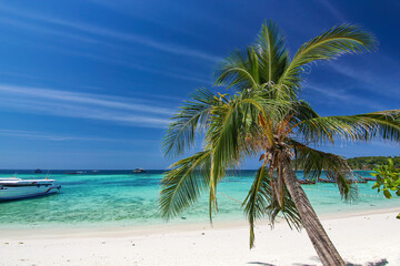 Beautiful Thailand travel island Koh Lipe white sand beach with palm tree and sunny blue sky landscape background