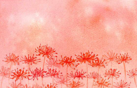 4 218 件の最適な 満開のヒガンバナ 画像 ストック写真 ベクター Adobe Stock